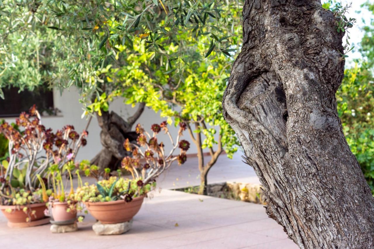 Villa Giali Giovinazzo Ngoại thất bức ảnh